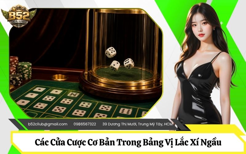 Các Cửa Cược Cơ Bản Trong Bảng Vị Lắc Xí Ngầu Trực Tuyến